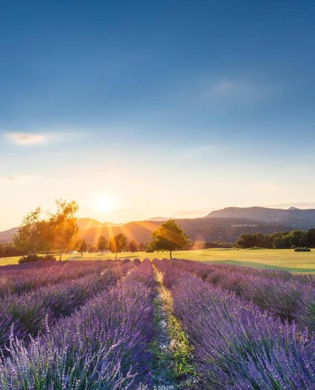 Les Allees Du Golf Digne Les Bains Экстерьер фото